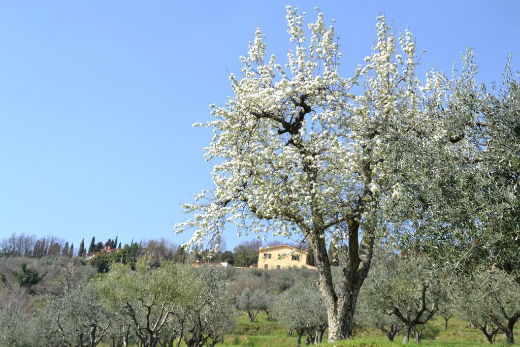 Agriturismo La Corte Pistoia Extérieur photo
